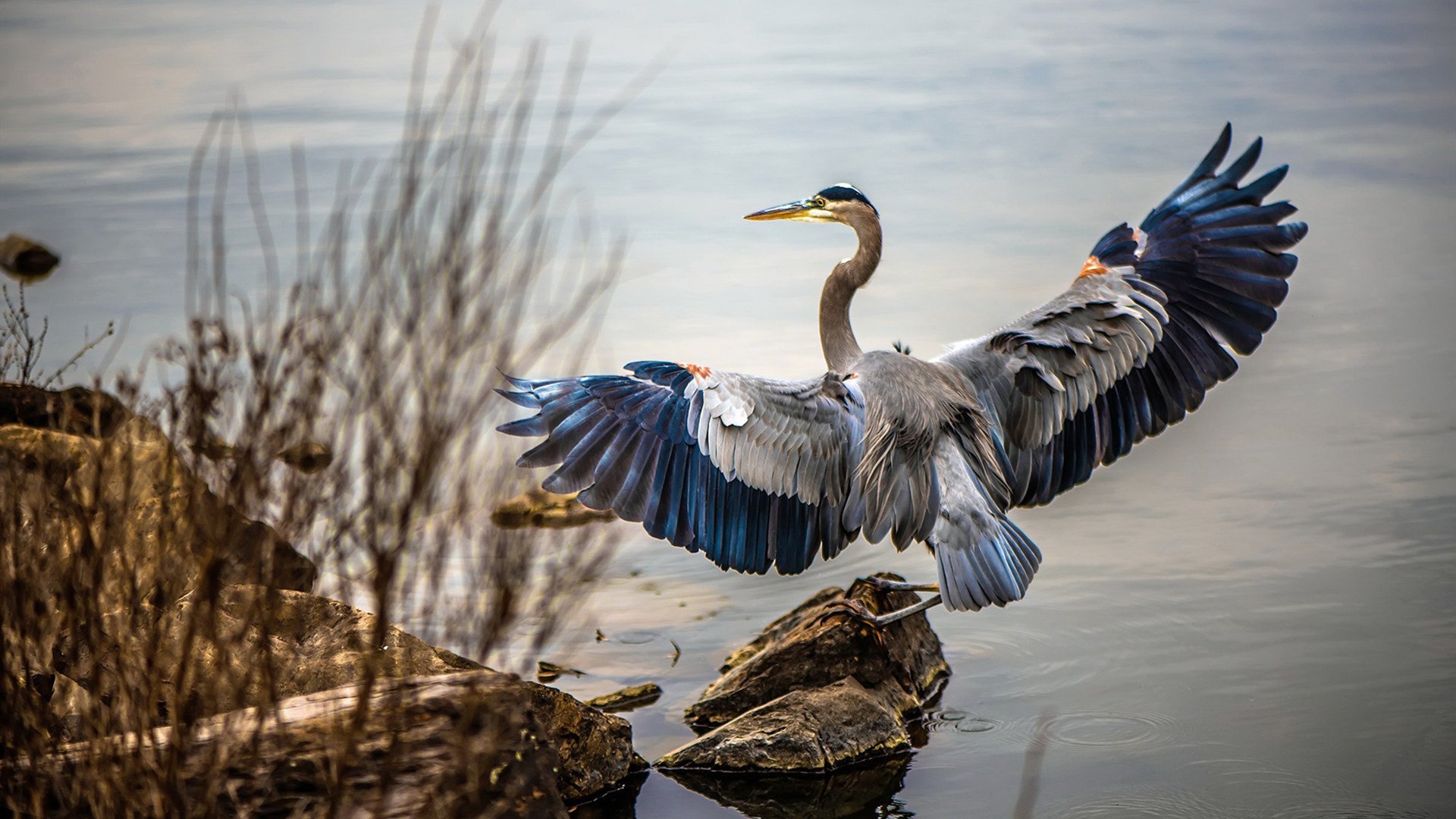 辽宁队淘汰活塞？杜兰特赛后评分拉满—当平行宇宙的篮球新闻闯入现实