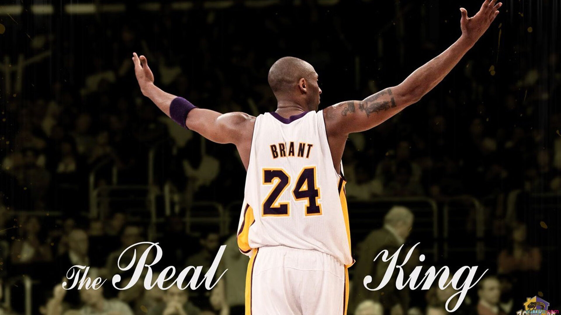 林高远统治全场，韩国队轻取奥地利队展现亚洲乒乓新高度